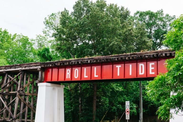 Way of life & Information →
Sports activities
Faculty Soccer Week 12: The three Finest Prop Bets & Key Matchups Way of life & Information →
Sports activities
Faculty Soccer Week 12: The three Finest Prop Bets & Key Matchups